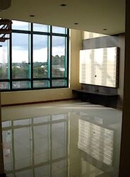 The Legend (D10), Condominium #584343081